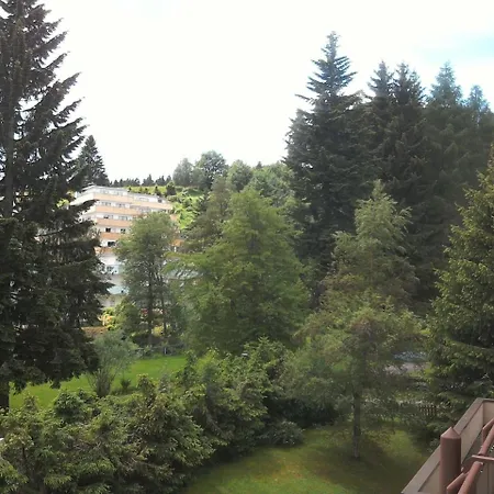 Ap.231 Barbo-Schwimmbad-Sauna-Fitness - #117170 Apartman *